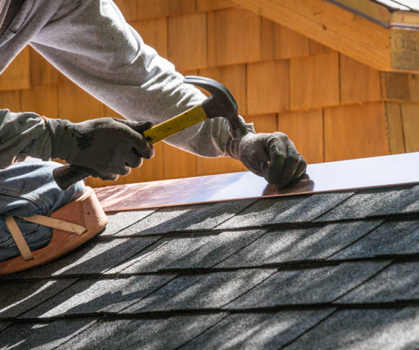Best Roof Gutter Cleaning  in Canfield, OH